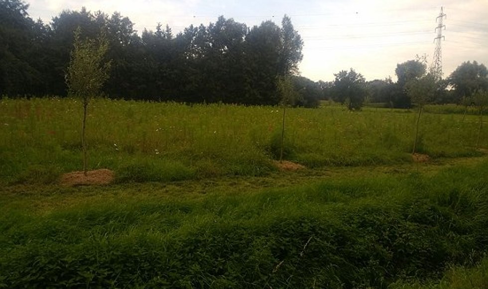 De Schans Voorshoven 41