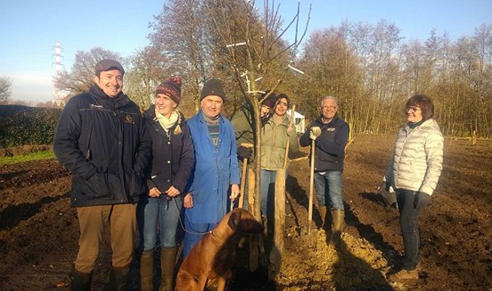 De Schans Voorshoven 43