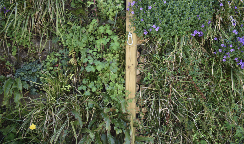 Geborgen stadstuin met verticaal groen