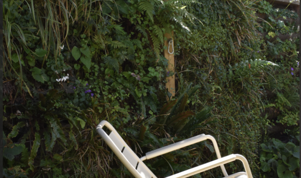 Geborgen stadstuin met verticaal groen