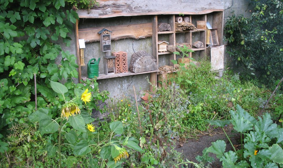 Schooltuin Sassenheim