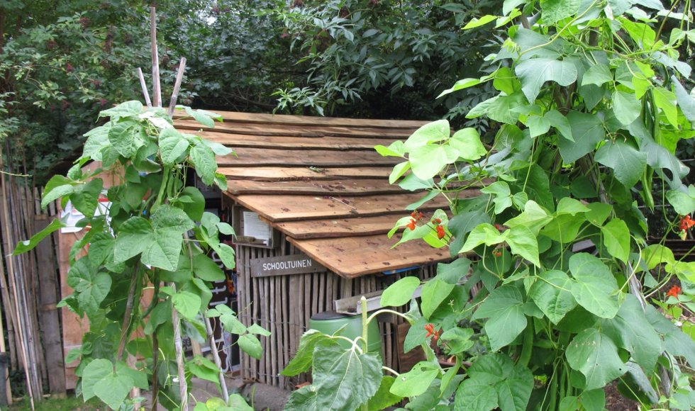 Schooltuin Sassenheim