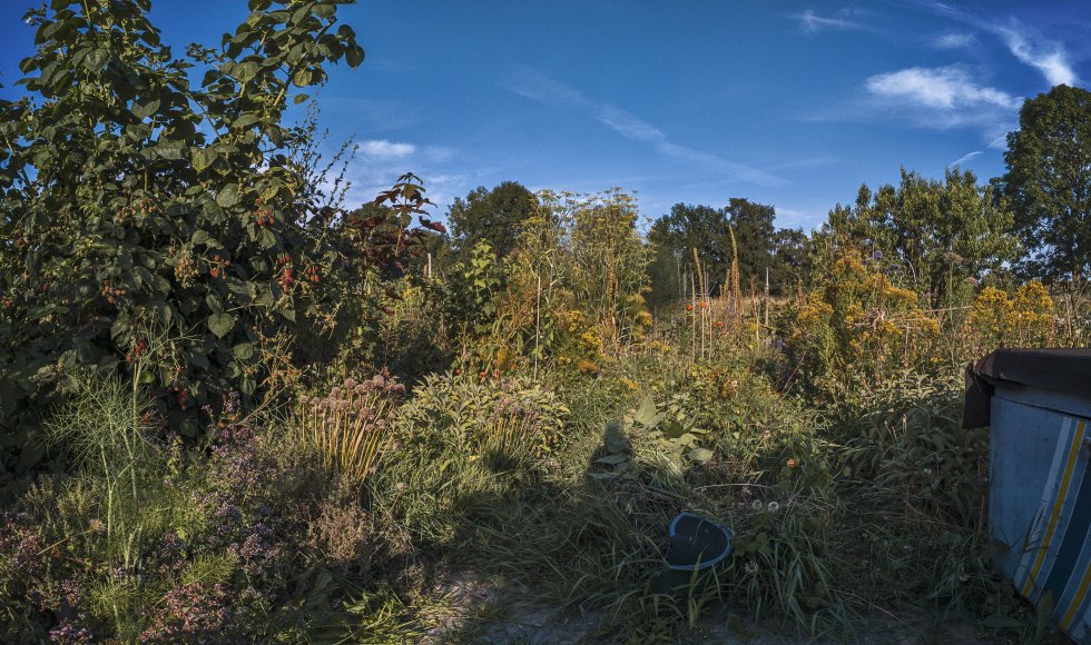 Ecologische moestuin