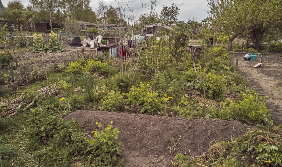 Ecologische moestuin