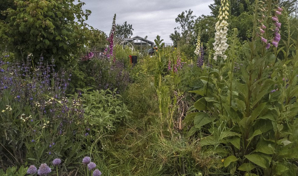 Ecologische moestuin