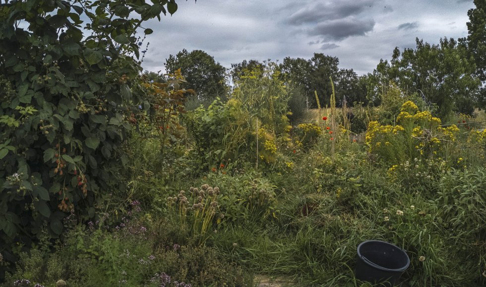 Ecologische moestuin