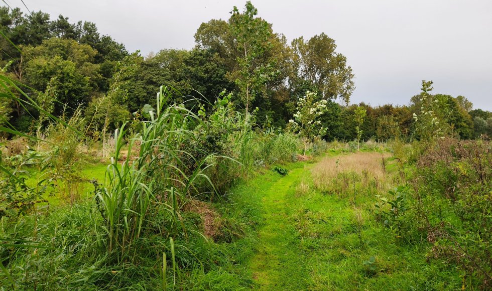 Snellegem Vloet Permafruit 4