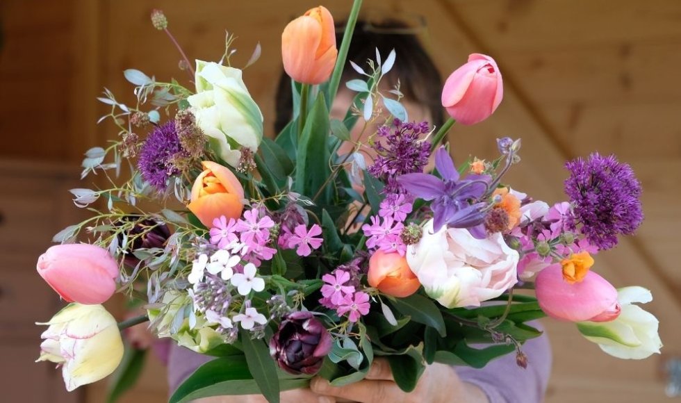 De Kleur van Hier en Nu