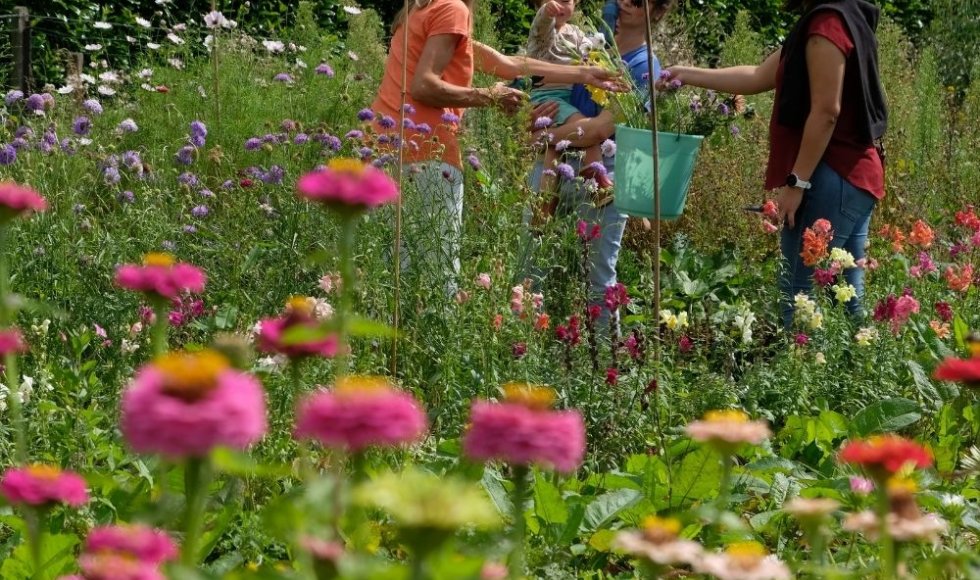 De Kleur van Hier en Nu