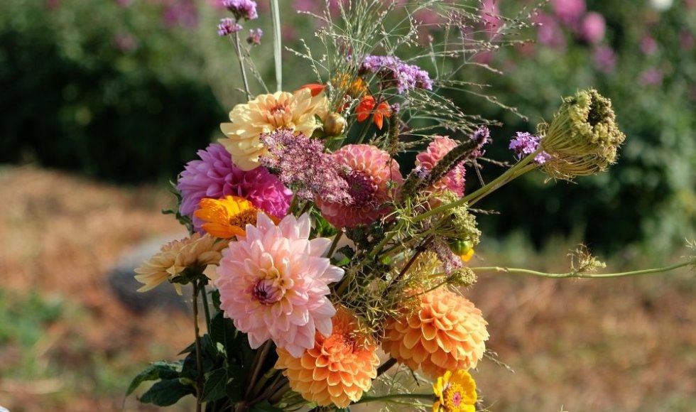 De Kleur van Hier en Nu