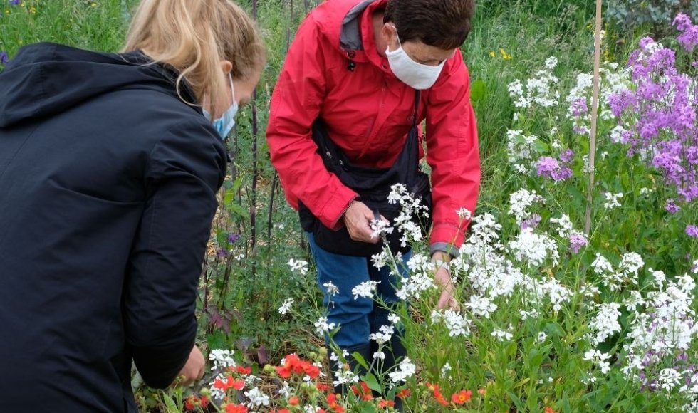 De Kleur van Hier en Nu