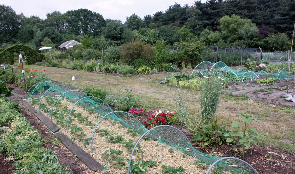 Stabroek De Heuvels 2