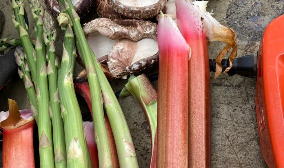 Stabroek Bloemenbos 7