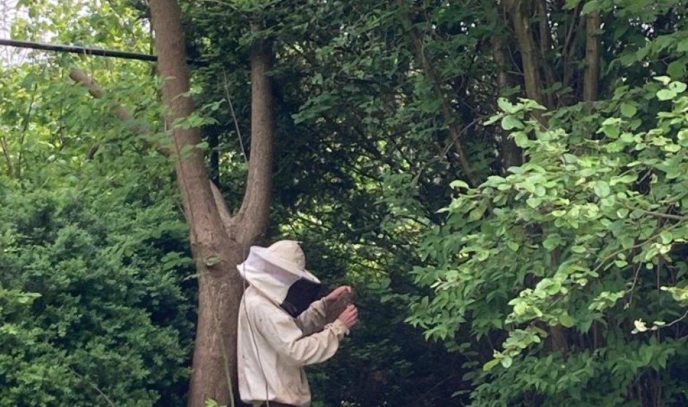 Stabroek Bloemenbos 8