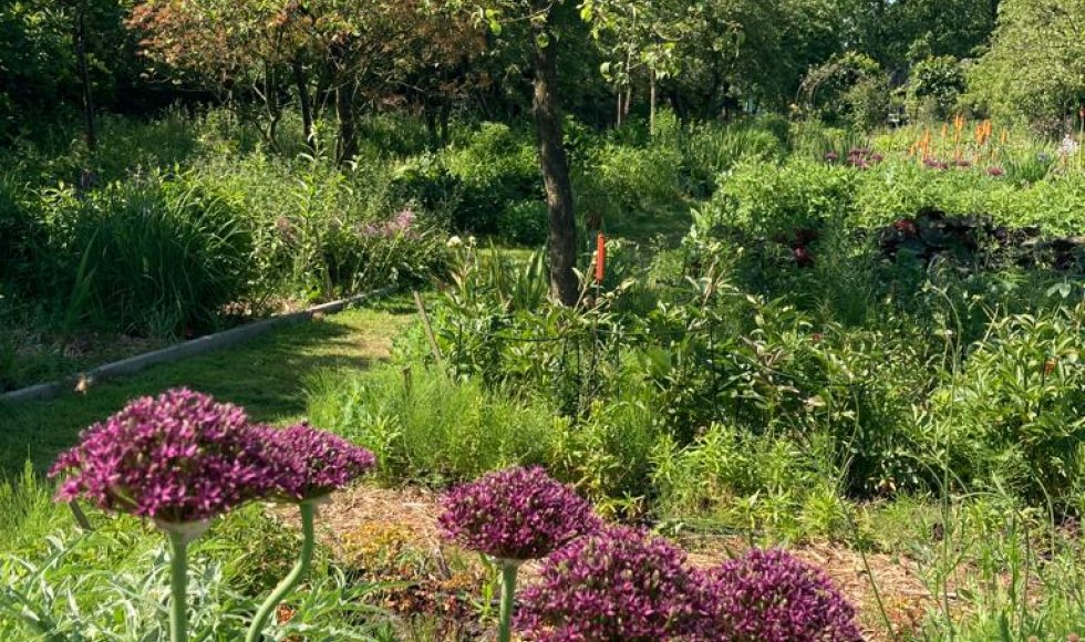 Stabroek Bloemenbos 9