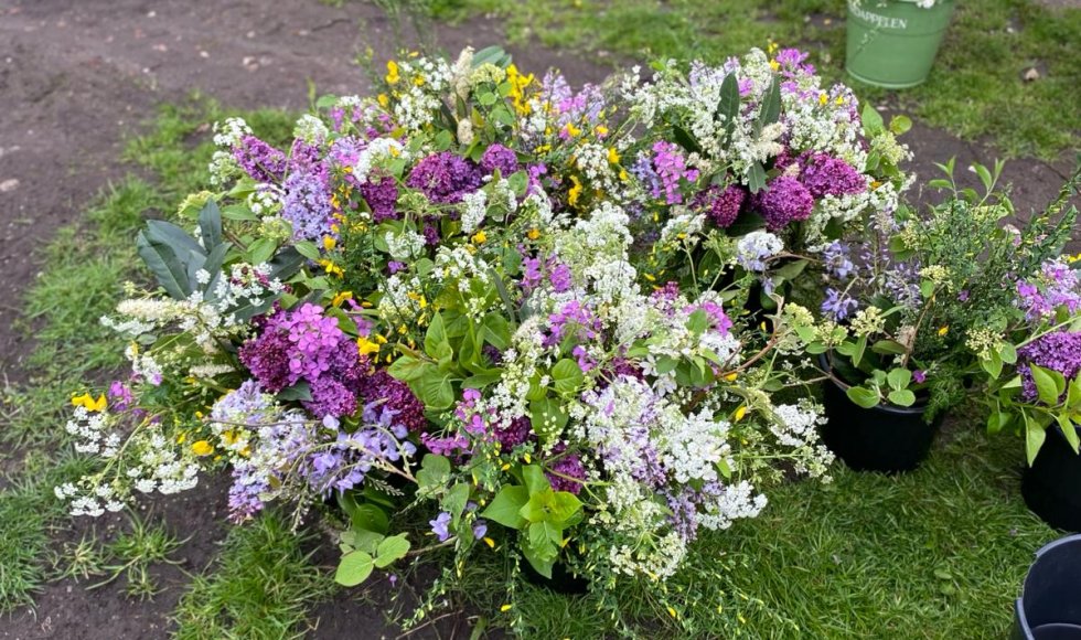 Stabroek Bloemenbos 10