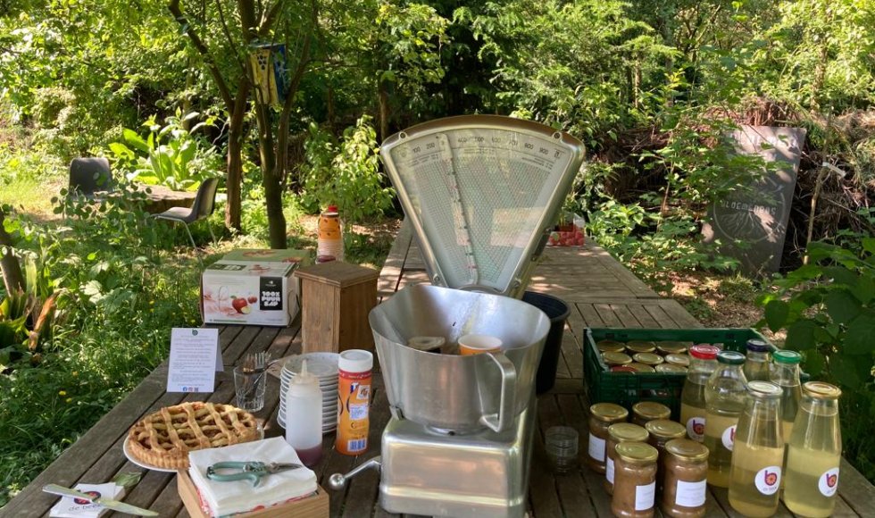 Stabroek Bloemenbos 2