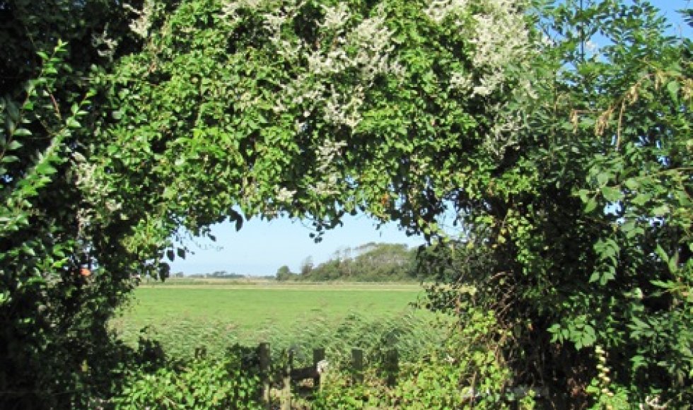 Texel_Ed Van der Ham