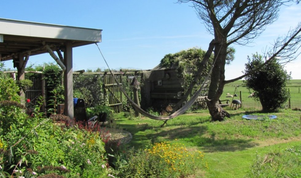 Texel_Ed Van der Ham