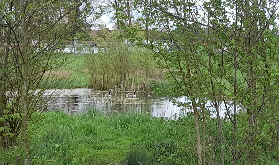 Tongeren Tuin van Camiel en Lucienne 3