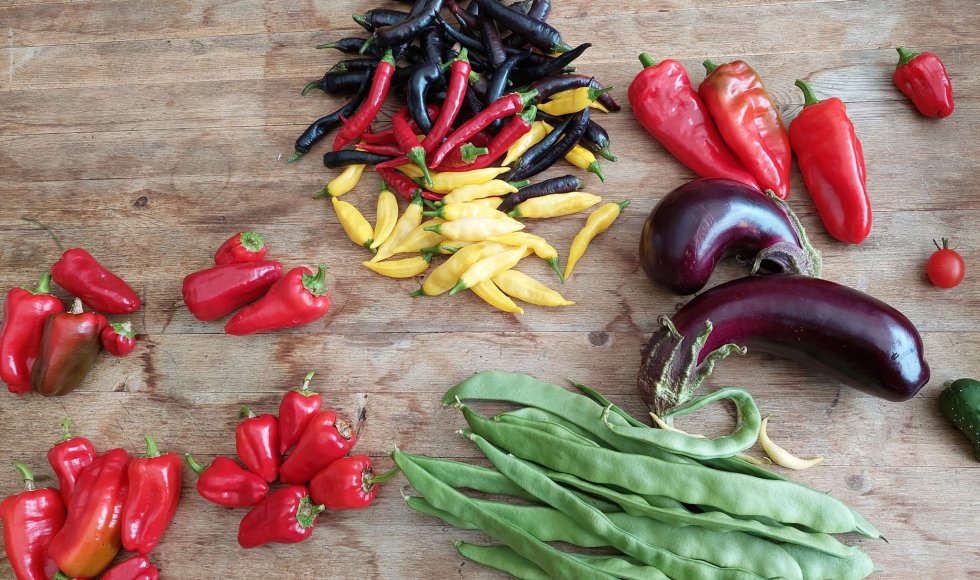 minimale input, maximale output