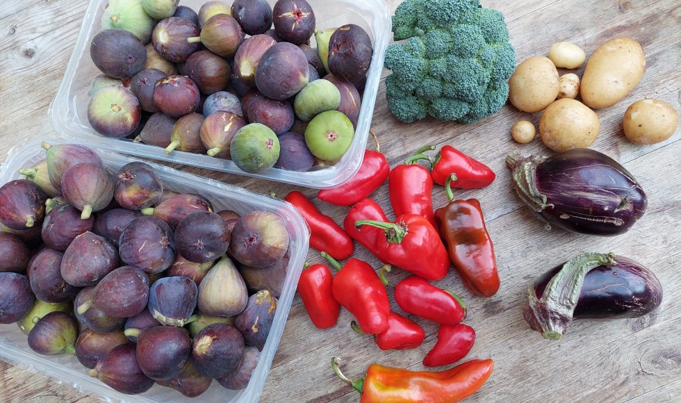 minimale input, maximale output