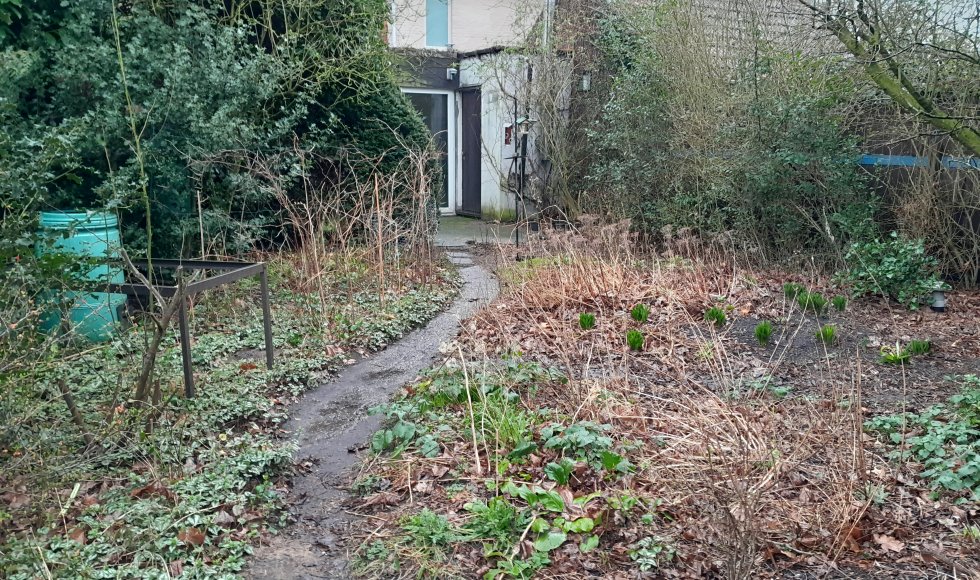 Turnhout Mark's gewilde wilde (gecontroleerde) natuurtuin 2