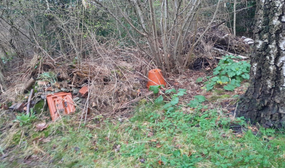 Turnhout Mark's gewilde wilde (gecontroleerde) natuurtuin 4