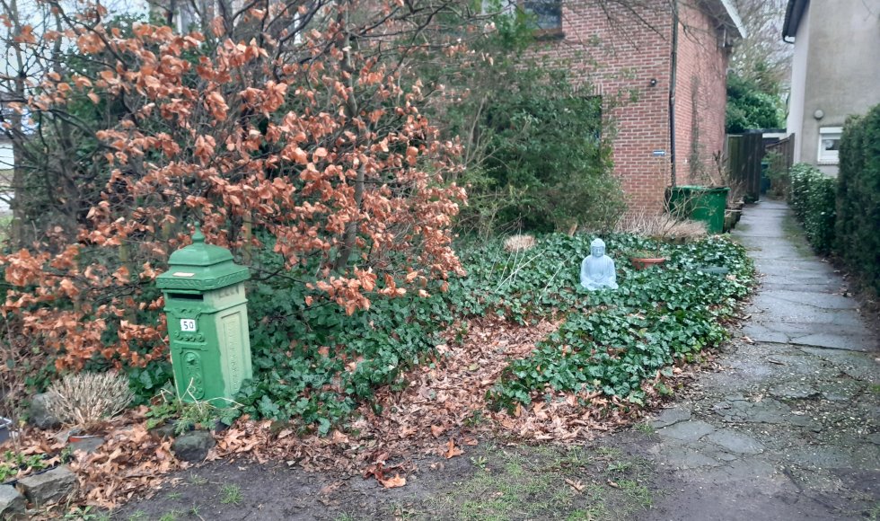Turnhout Mark's gewilde wilde (gecontroleerde) natuurtuin 5