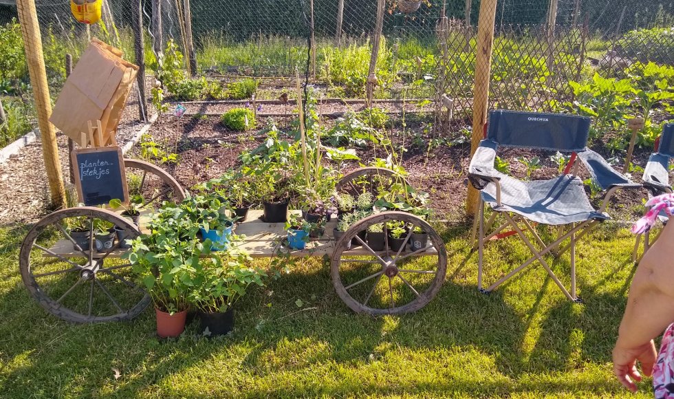 Turnhout Eigenaard 3