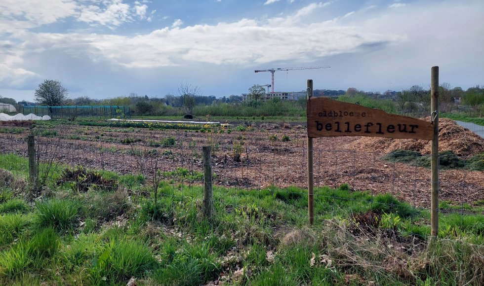 Bellefleur stadsboerderij Turnhout