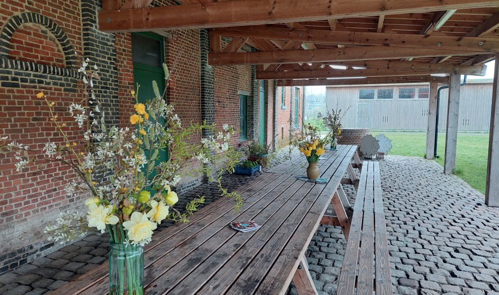 Bellefleur stadsboerderij Turnhout