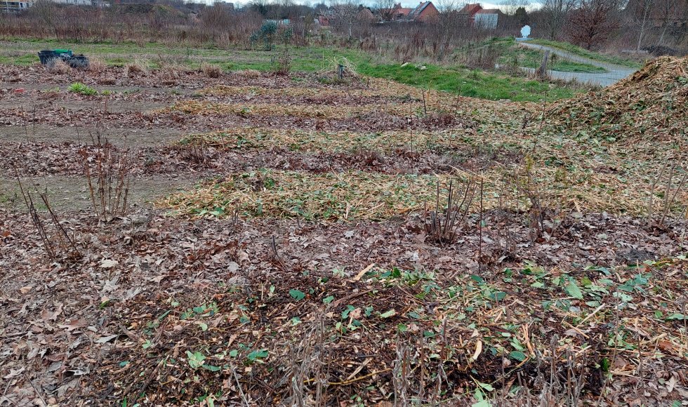 Bellefleur stadsboerderij Turnhout