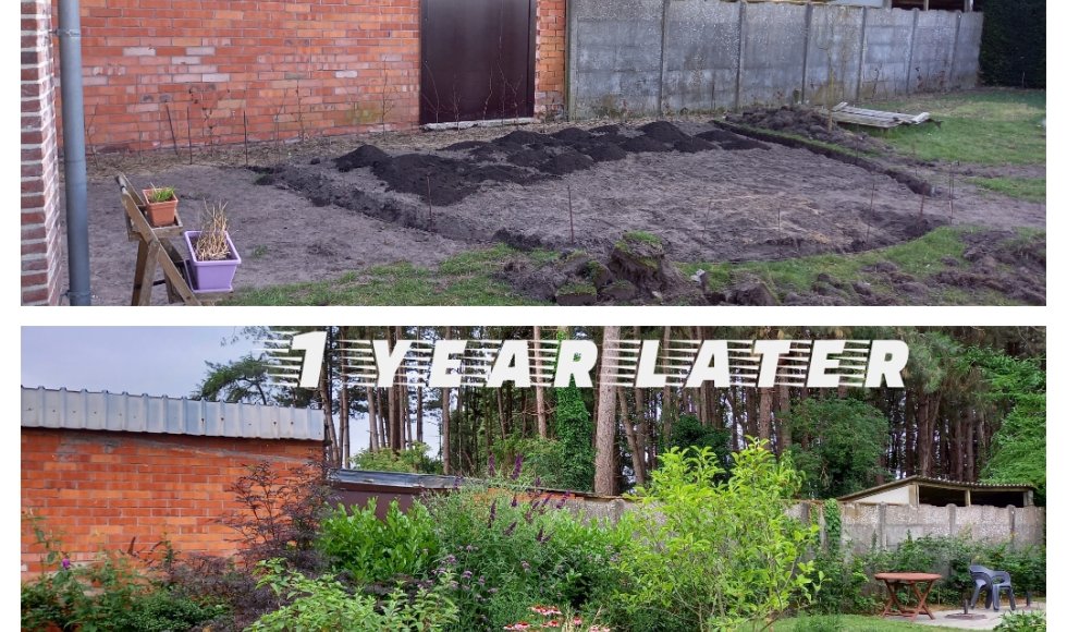 Vlimmeren Ecotuin Lepelstraat 1