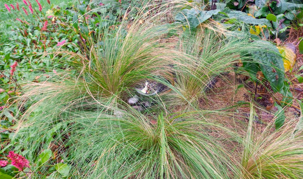 Vlimmeren Ecotuin Lepelstraat 5