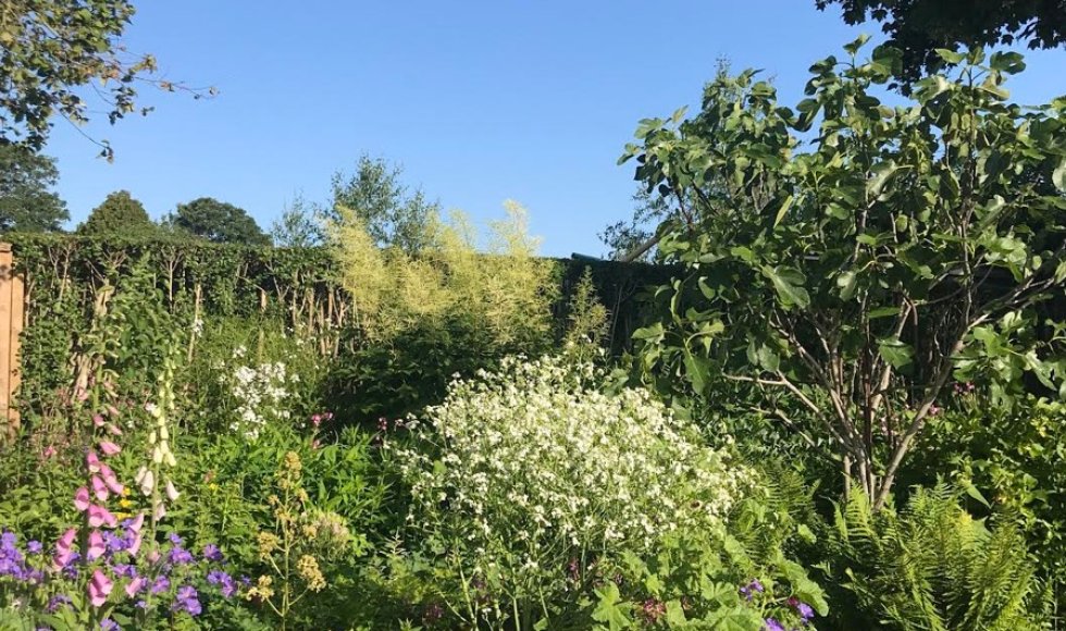 Wagenberg_Tuin van Annie Crombag