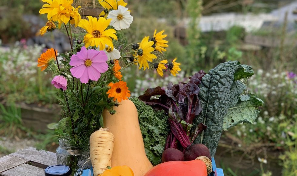 Weelde Bari bessen pluktuin 6