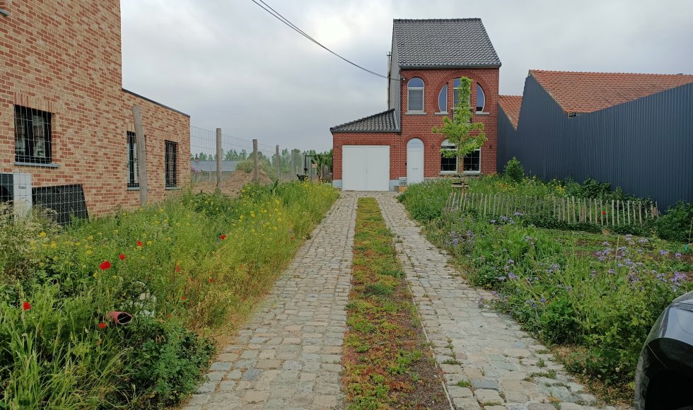 Wespelaer Jonge ecotuin 2