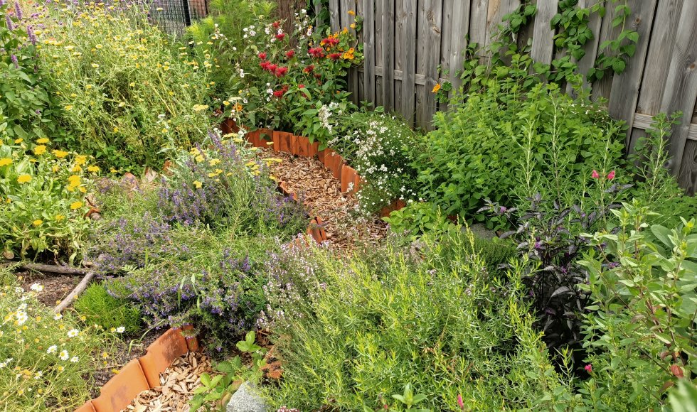 Wespelaer Jonge ecotuin 5