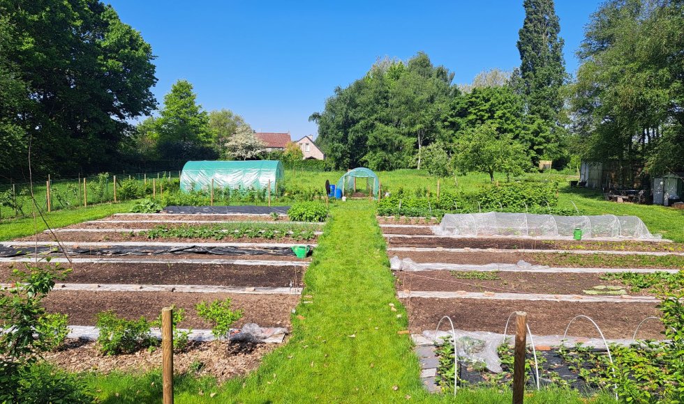 Wetteren Samentuin Veldwegel 1
