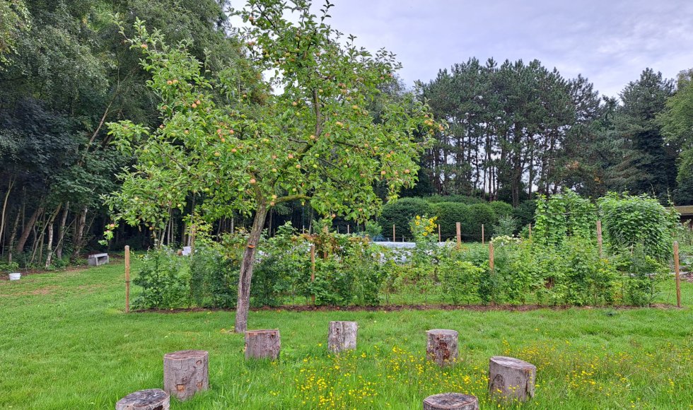 Wetteren Samentuin Veldwegel 4