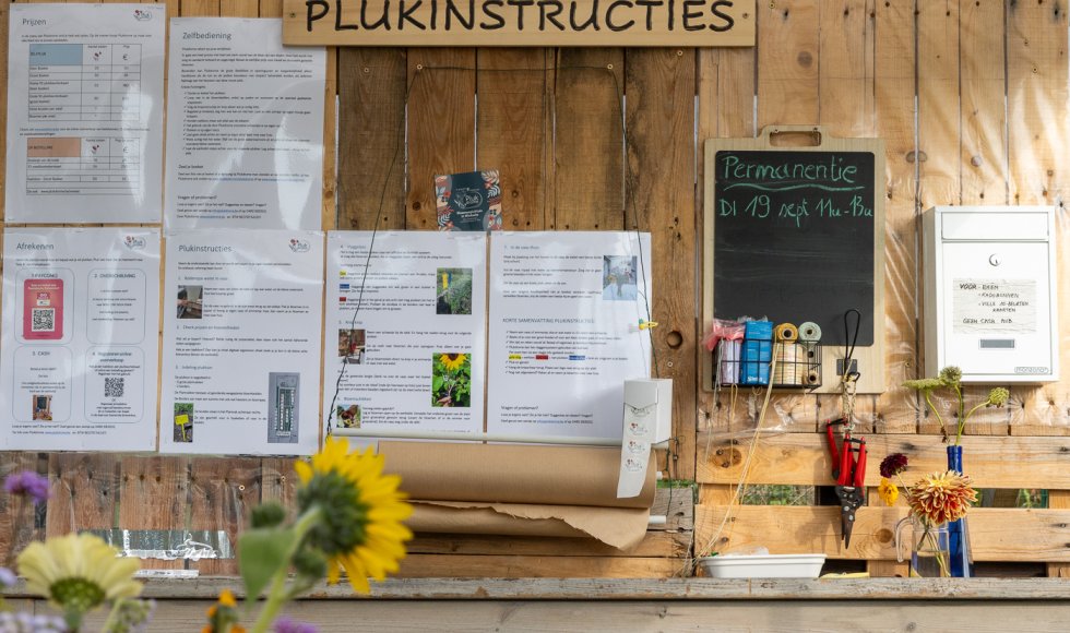 Winksele Bloemenpluktuin Plukdrome Herent 6