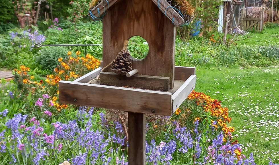 groene tuin de Wijtam