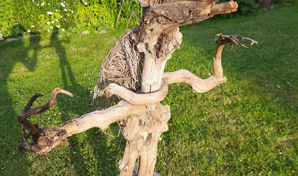 Winksele_De Groene Wijtham