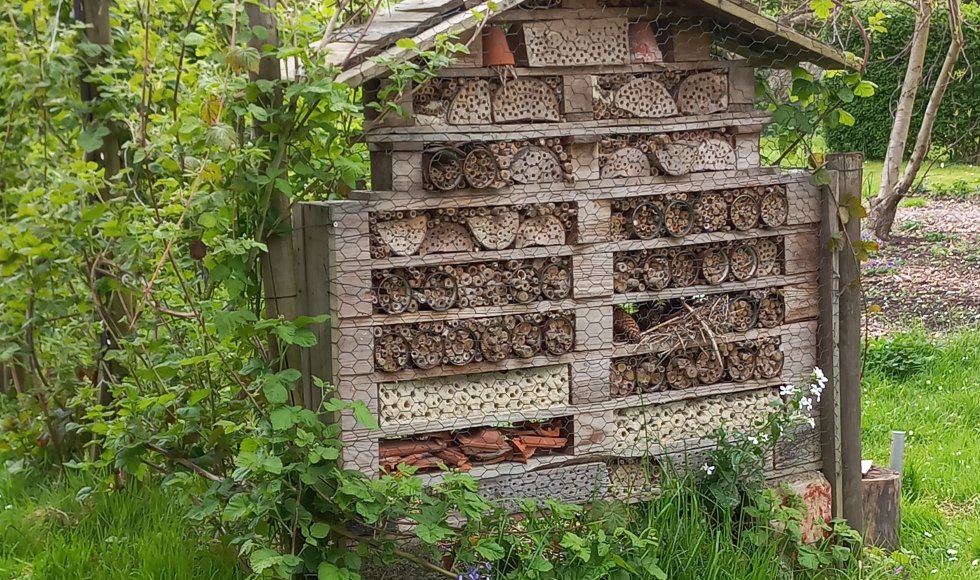 Winksele_De Groene Wijtham