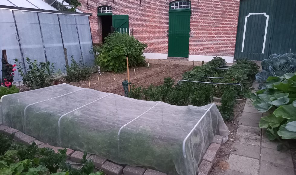 Zaamslag Hof Andieke 1