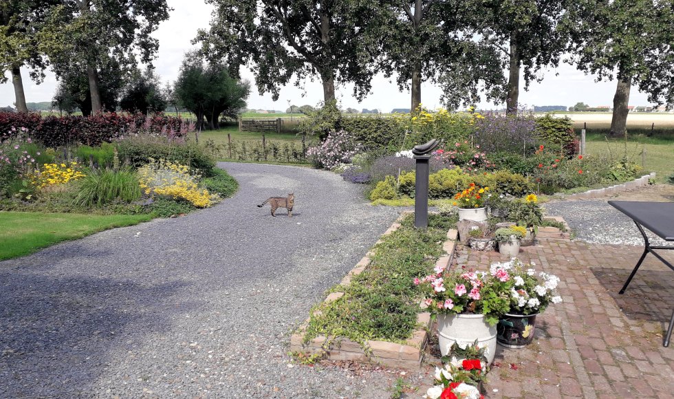 Zaamslag Hof Andieke 2