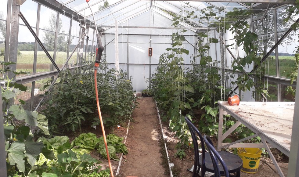 Zaamslag Hof Andieke 4