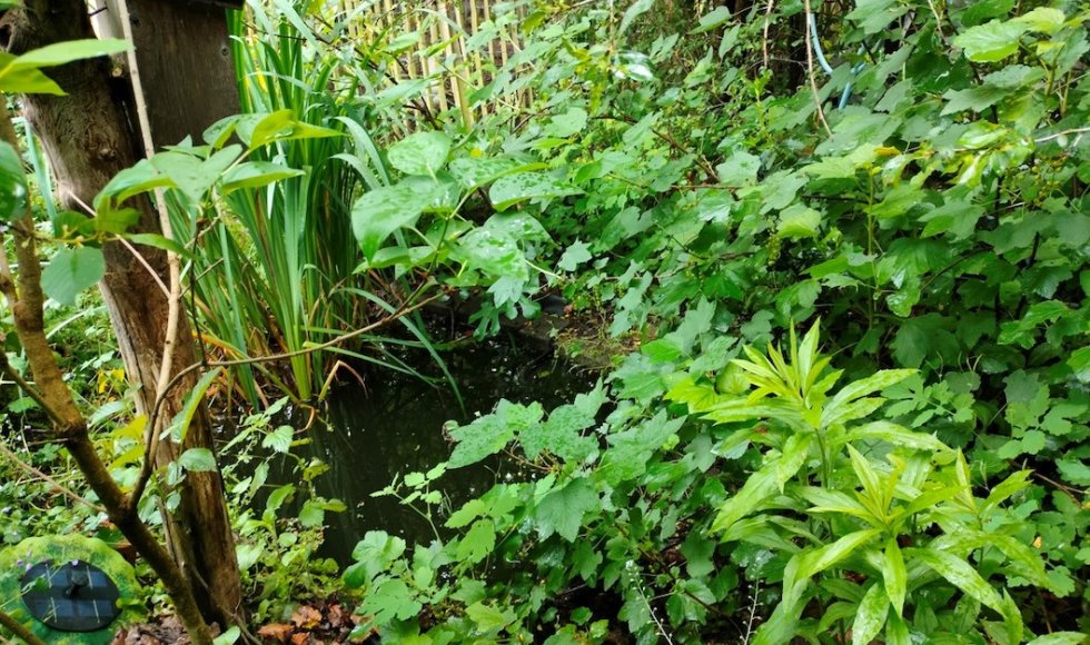 Zoersel Tuin van Lucia 3