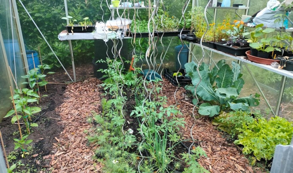 Zoersel Tuin van Lucia 5